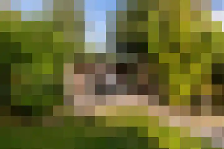 Trynwâldsterdyk 11 Gytsjerk thumbnail 34