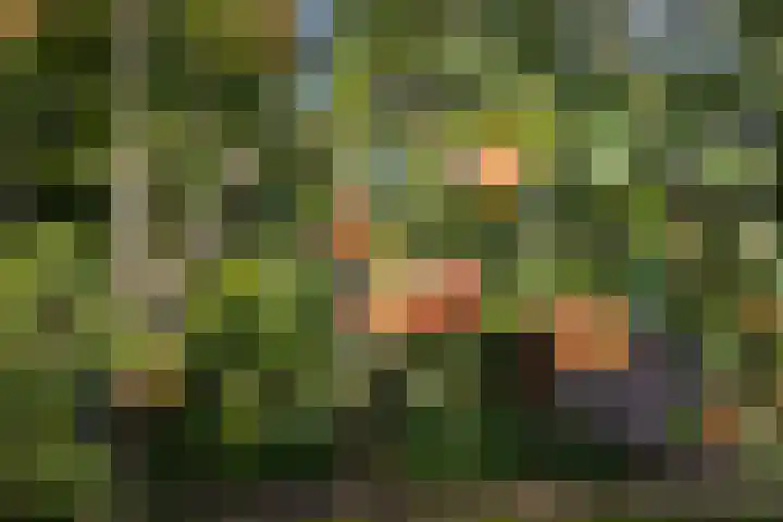 Trynwâldsterdyk 11 Gytsjerk thumbnail 36