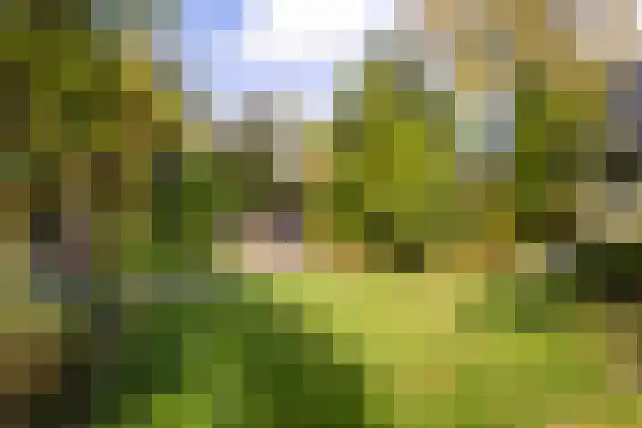 Trynwâldsterdyk 11 Gytsjerk thumbnail 4