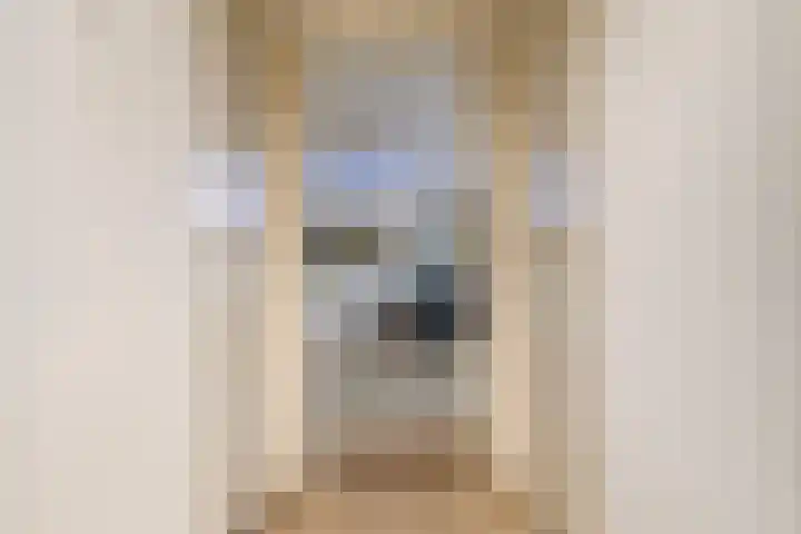 Trynwâldsterdyk 11 Gytsjerk thumbnail 40