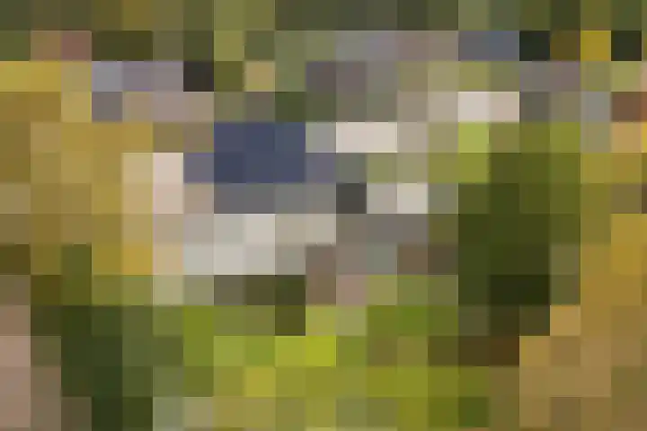 Trynwâldsterdyk 11 Gytsjerk thumbnail 5