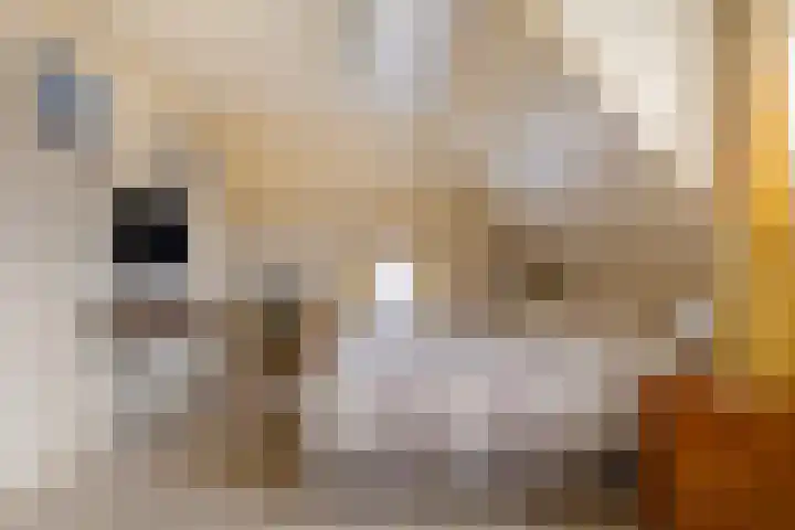Trynwâldsterdyk 11 Gytsjerk thumbnail 50