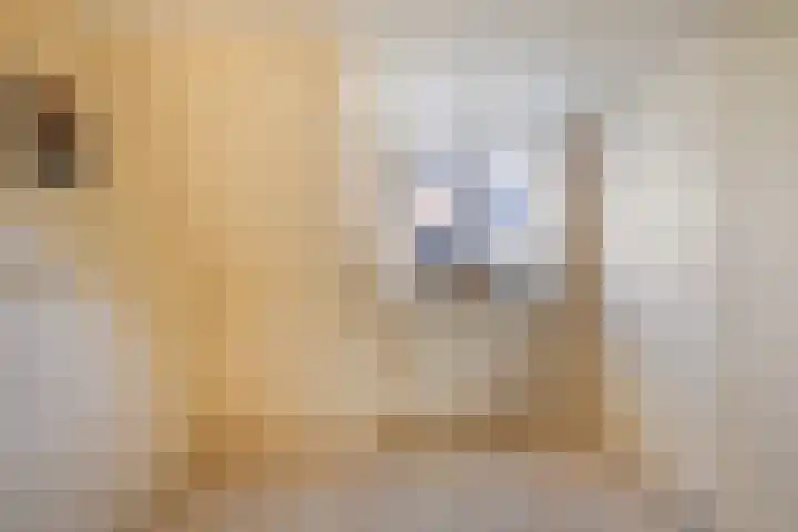 Trynwâldsterdyk 11 Gytsjerk thumbnail 53