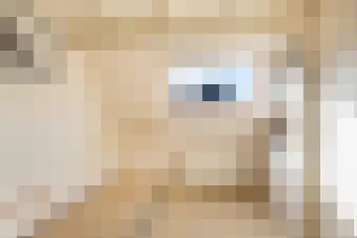 Trynwâldsterdyk 11 Gytsjerk thumbnail 55