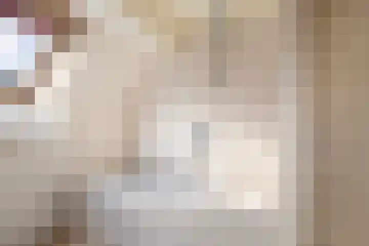 Trynwâldsterdyk 11 Gytsjerk thumbnail 59
