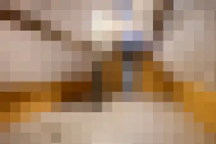Trynwâldsterdyk 11 Gytsjerk thumbnail 61