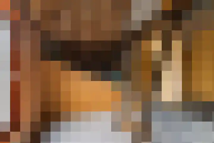 Trynwâldsterdyk 11 Gytsjerk thumbnail 62