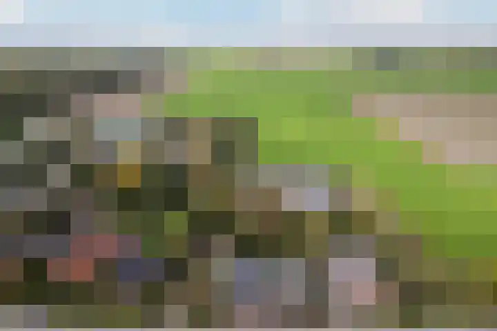 Trynwâldsterdyk 11 Gytsjerk thumbnail 65