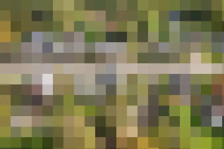Trynwâldsterdyk 11 Gytsjerk thumbnail 66
