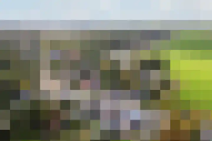 Trynwâldsterdyk 11 Gytsjerk thumbnail 68