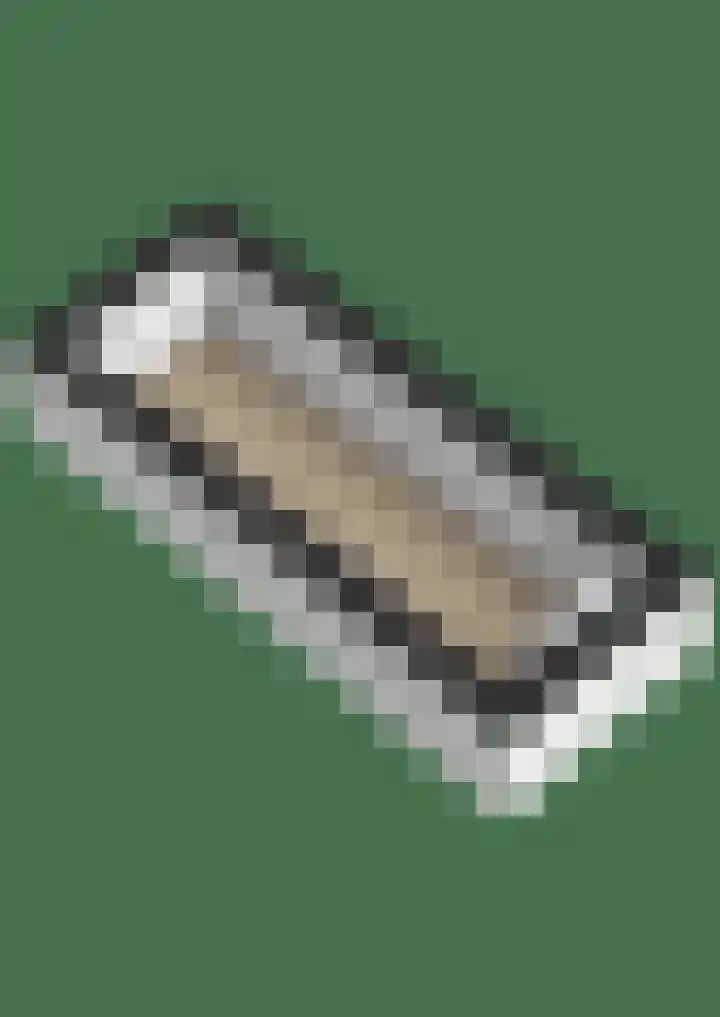 Trynwâldsterdyk 11 Gytsjerk thumbnail 76