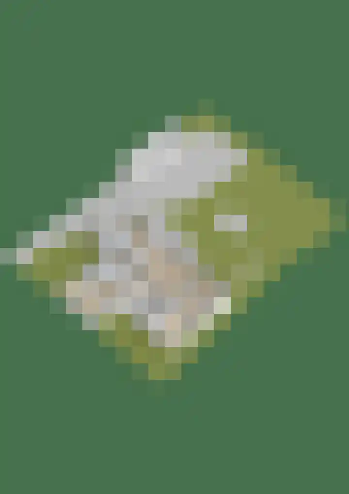 Trynwâldsterdyk 11 Gytsjerk thumbnail 80
