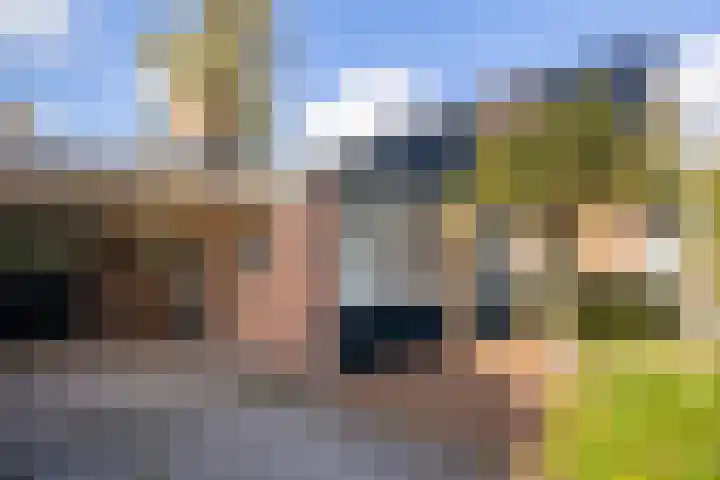 Trynwâldsterdyk 11 Gytsjerk thumbnail 9