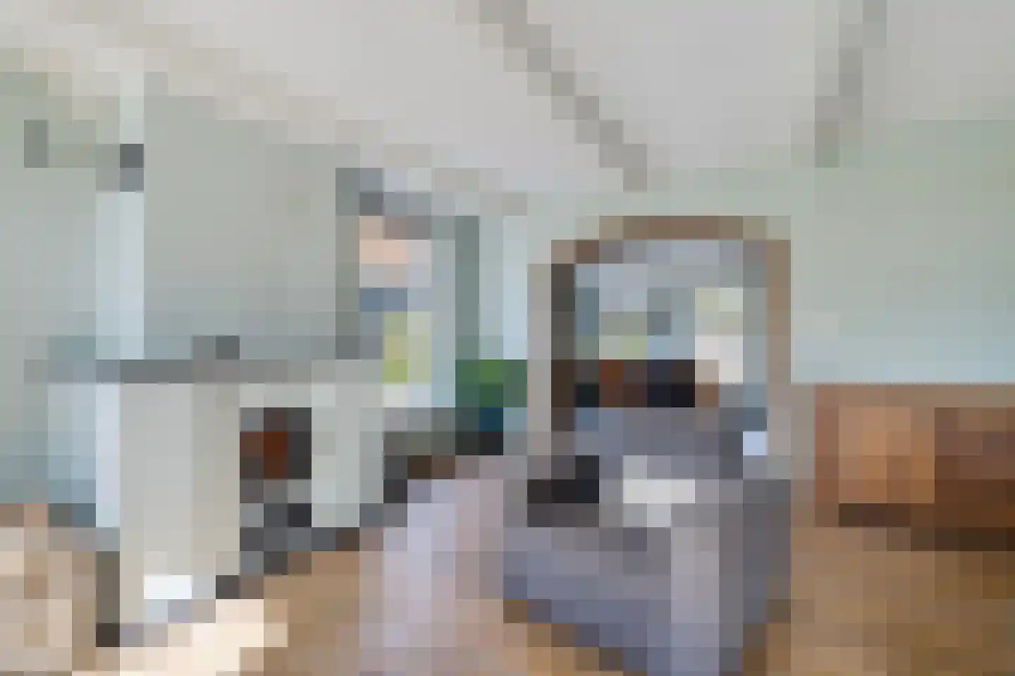 Tsienzerbuorren 4 Reduzum thumbnail 10