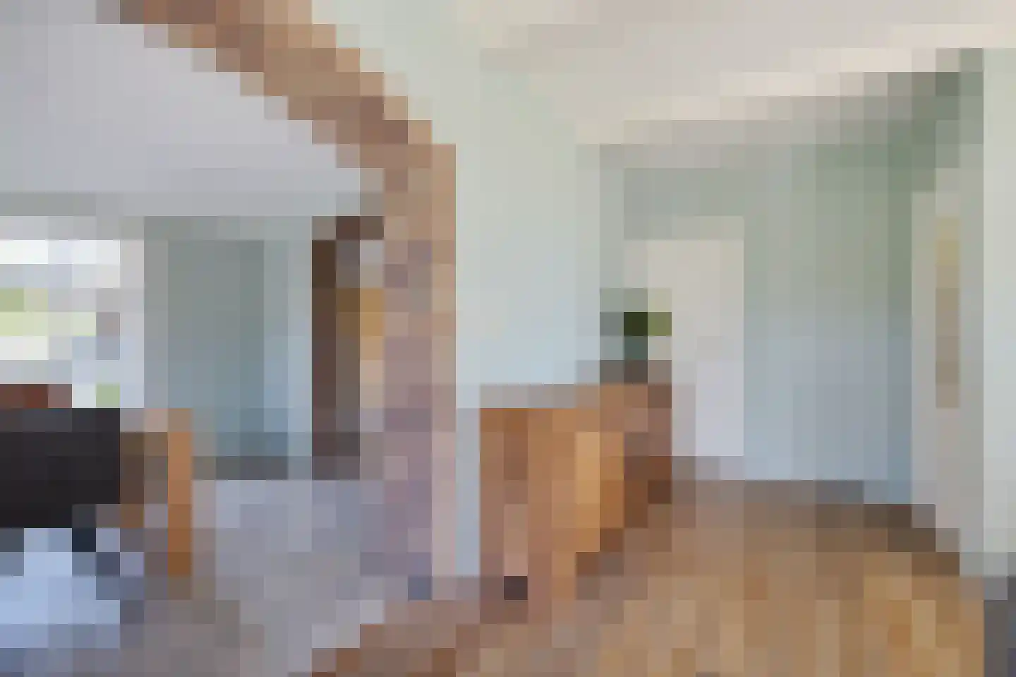 Tsienzerbuorren 4 Reduzum thumbnail 14