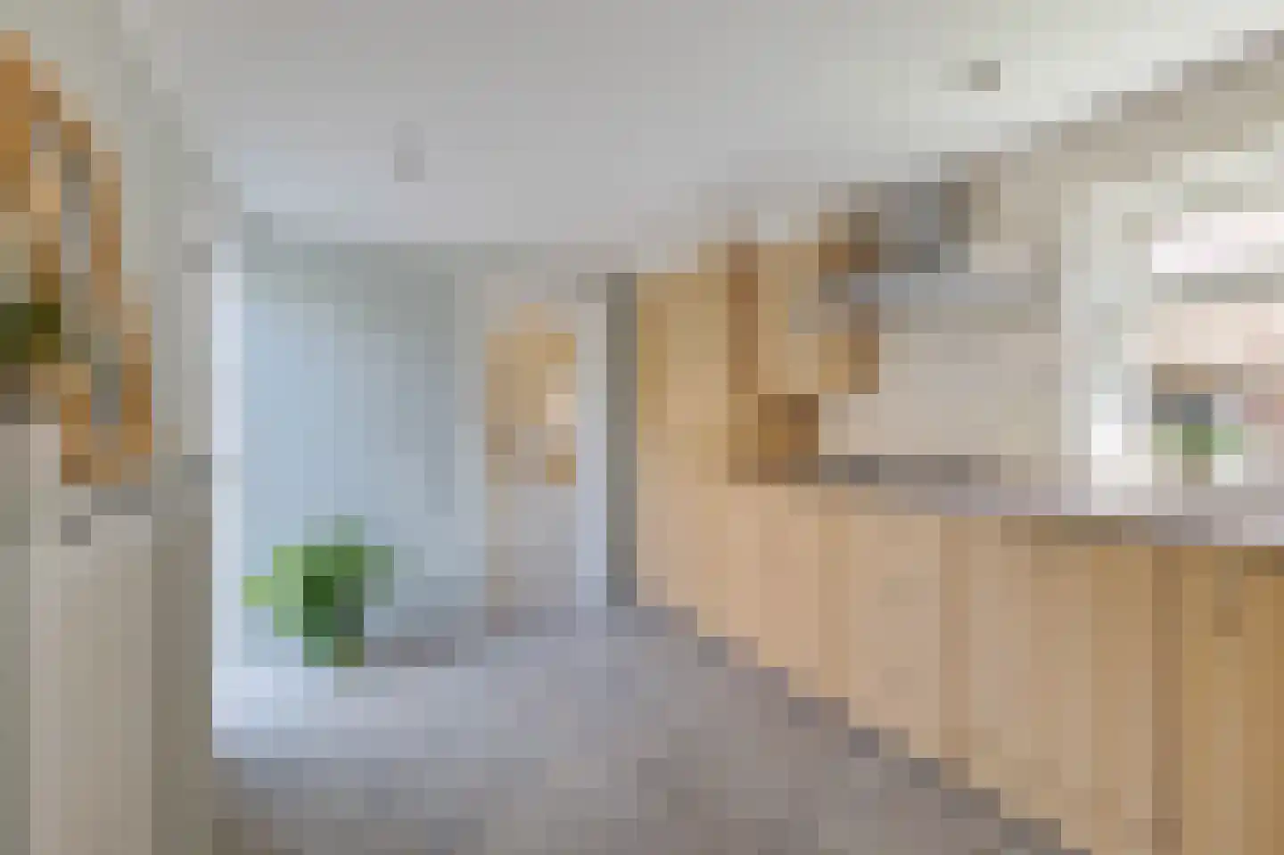 Tsienzerbuorren 4 Reduzum thumbnail 17
