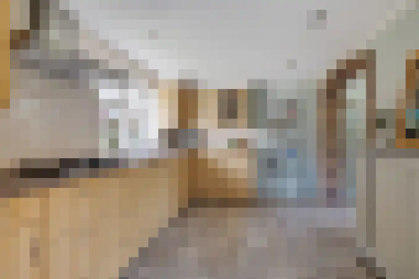 Tsienzerbuorren 4 Reduzum thumbnail 18
