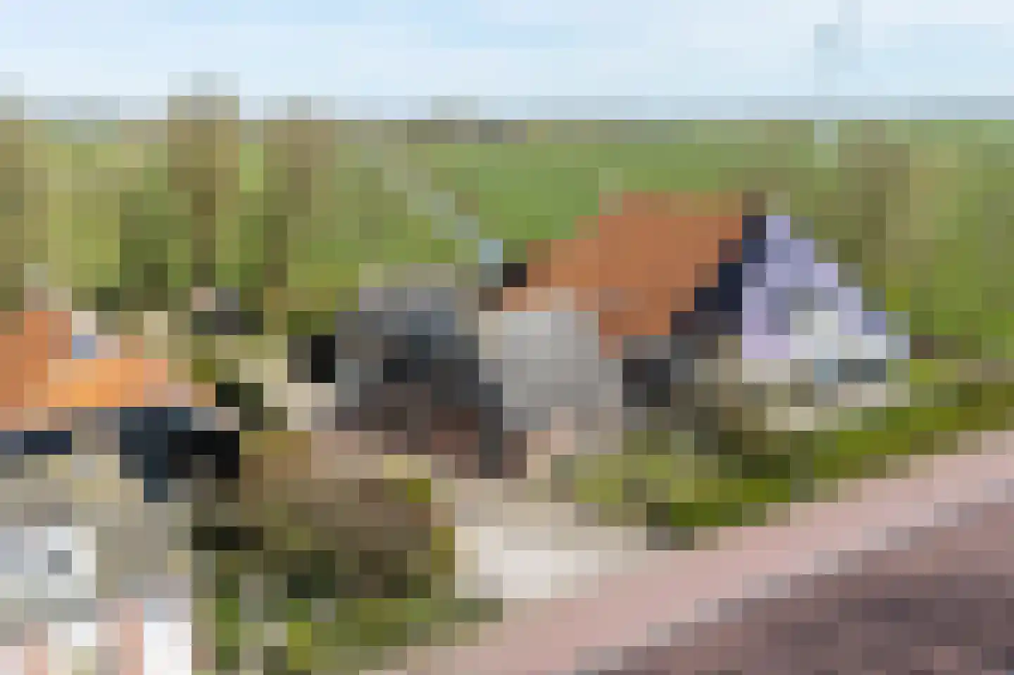 Tsienzerbuorren 4 Reduzum foto 2
