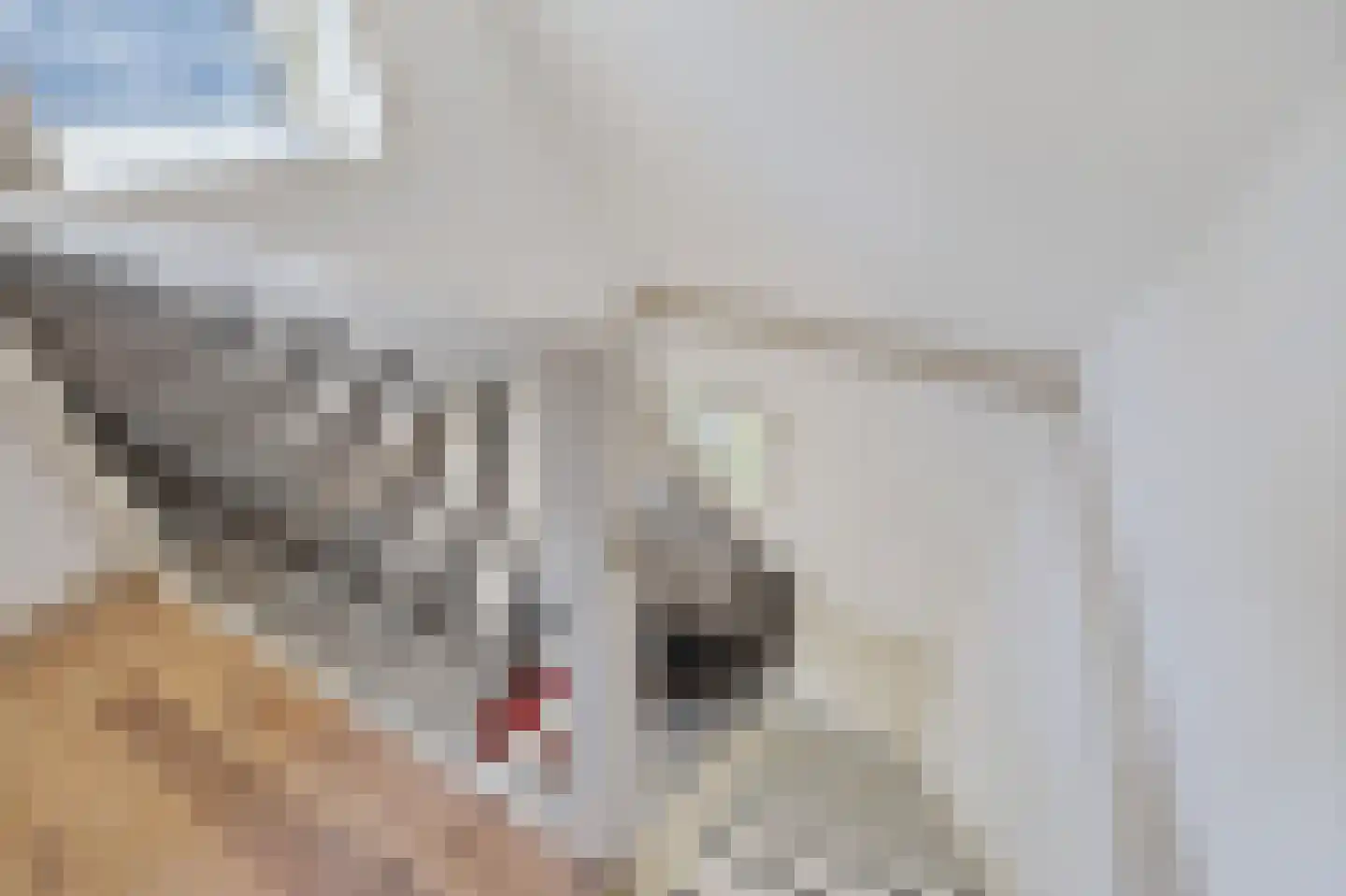 Tsienzerbuorren 4 Reduzum thumbnail 22