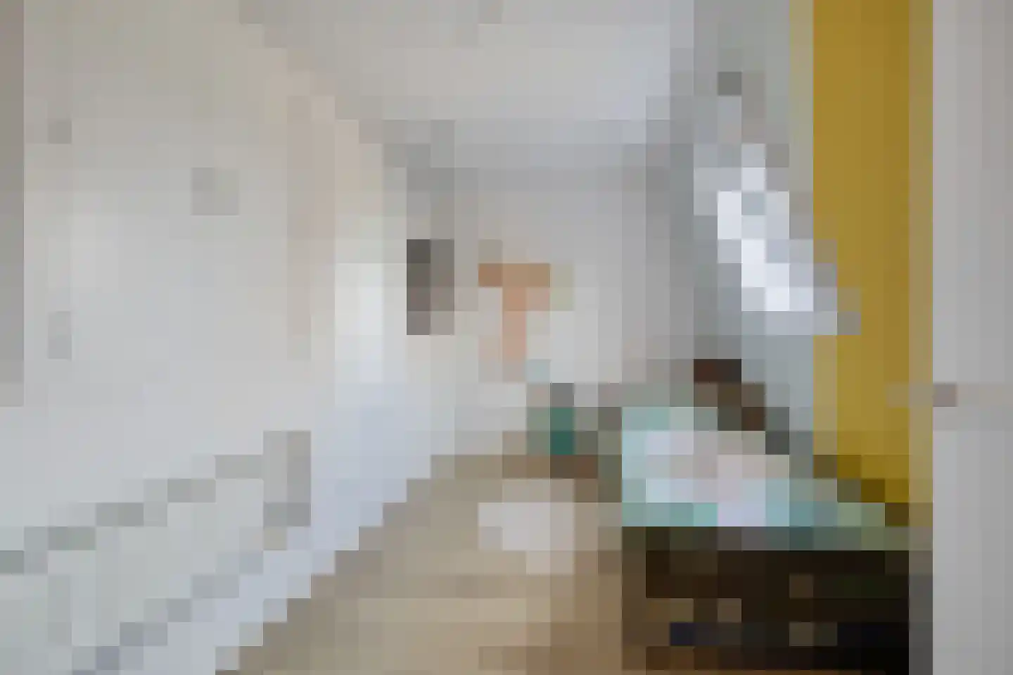 Tsienzerbuorren 4 Reduzum thumbnail 25