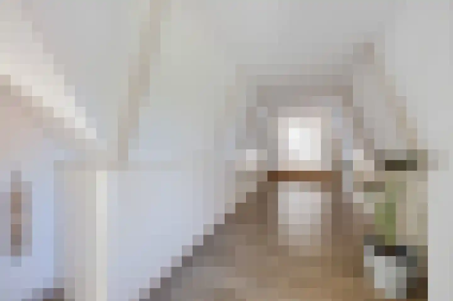Tsienzerbuorren 4 Reduzum thumbnail 27