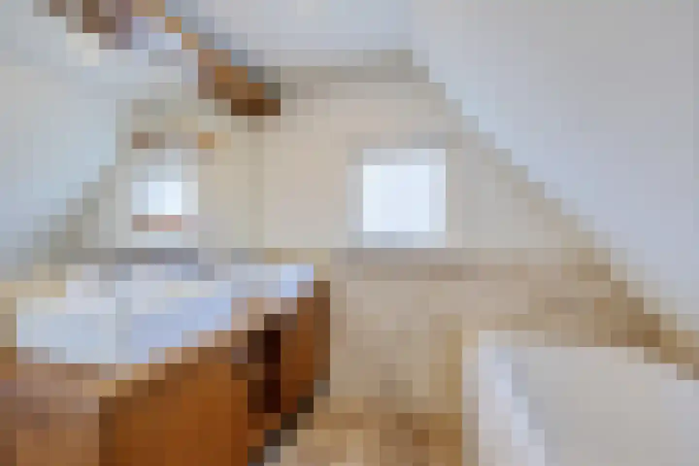 Tsienzerbuorren 4 Reduzum thumbnail 31