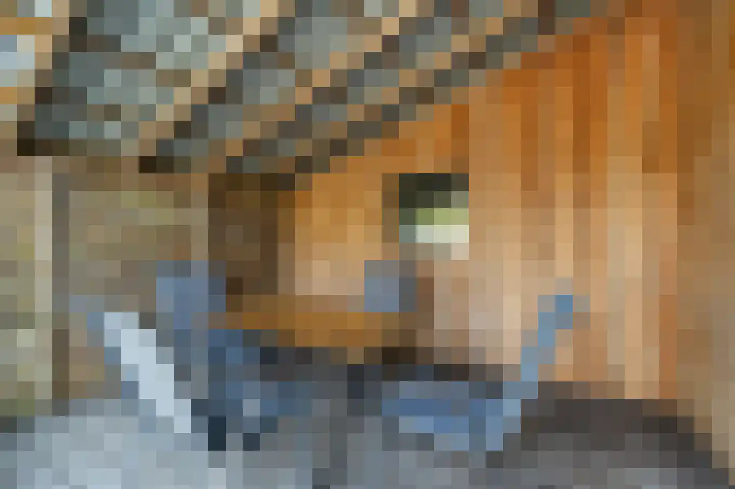 Tsienzerbuorren 4 Reduzum thumbnail 33