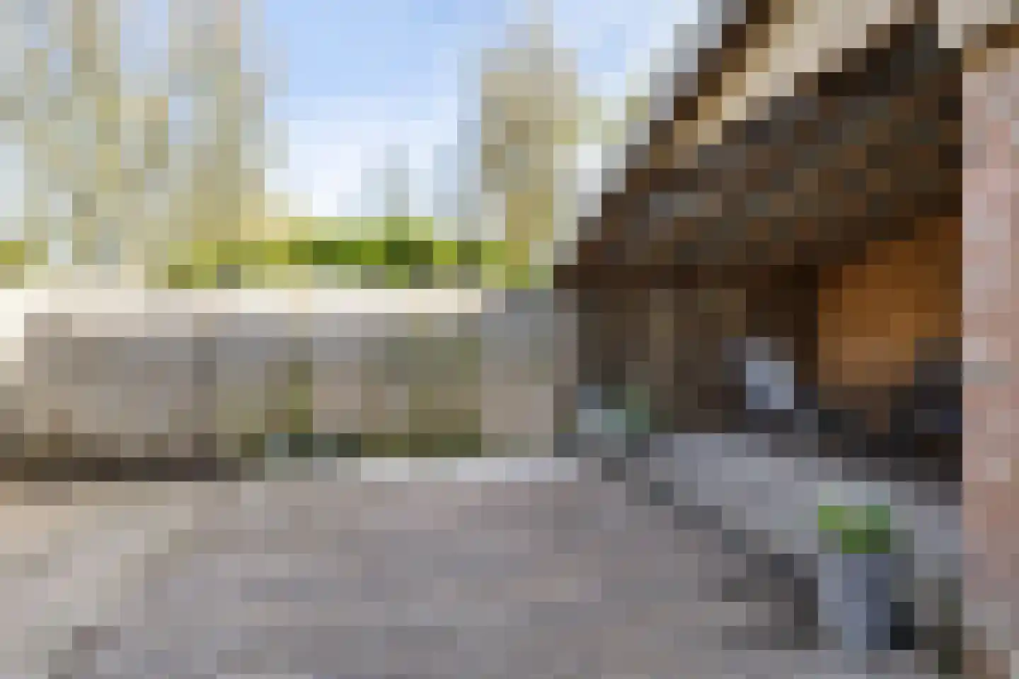Tsienzerbuorren 4 Reduzum thumbnail 34