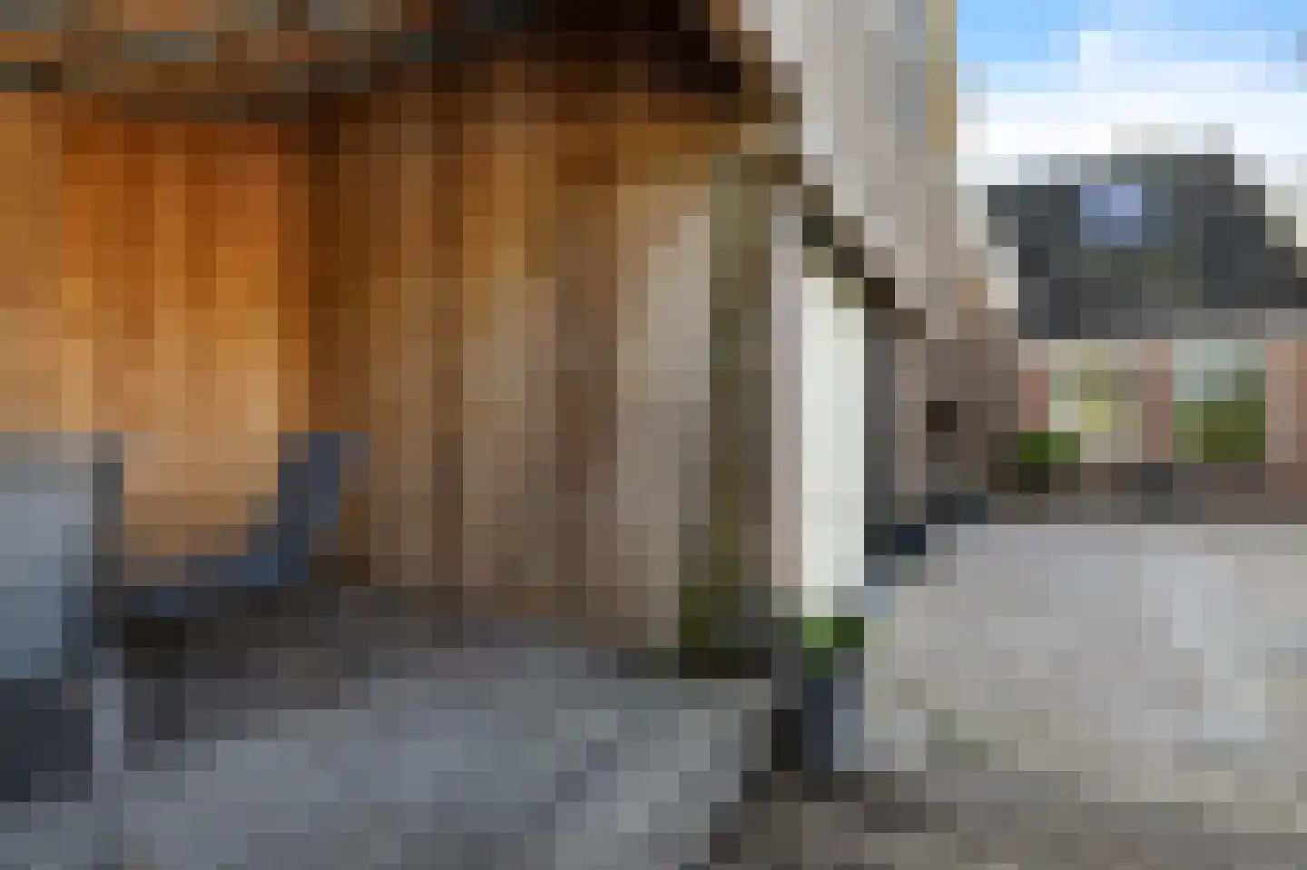 Tsienzerbuorren 4 Reduzum thumbnail 35