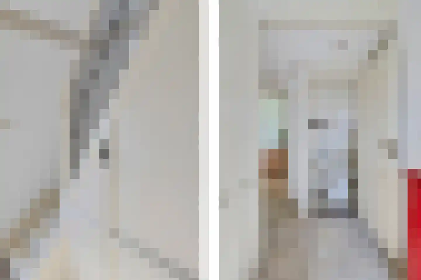 Tsienzerbuorren 4 Reduzum thumbnail 4