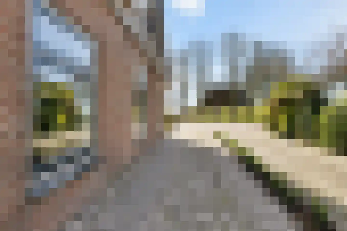 Tsienzerbuorren 4 Reduzum thumbnail 43