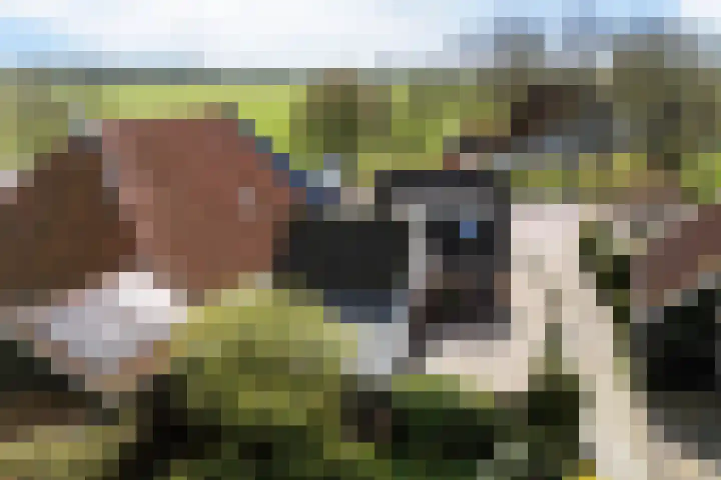 Tsienzerbuorren 4 Reduzum thumbnail 46
