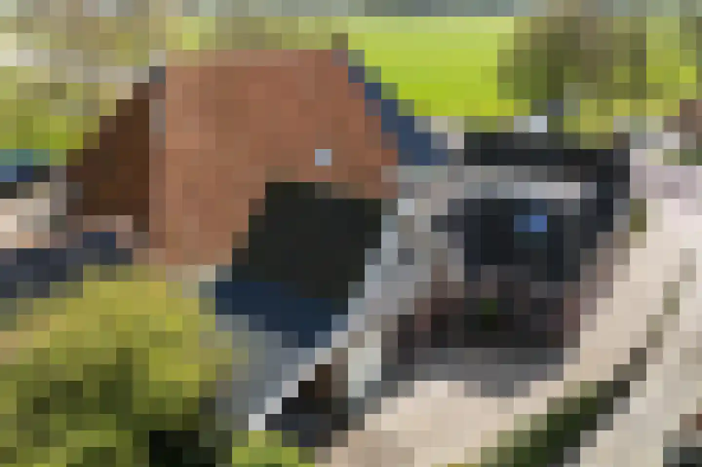 Tsienzerbuorren 4 Reduzum thumbnail 47
