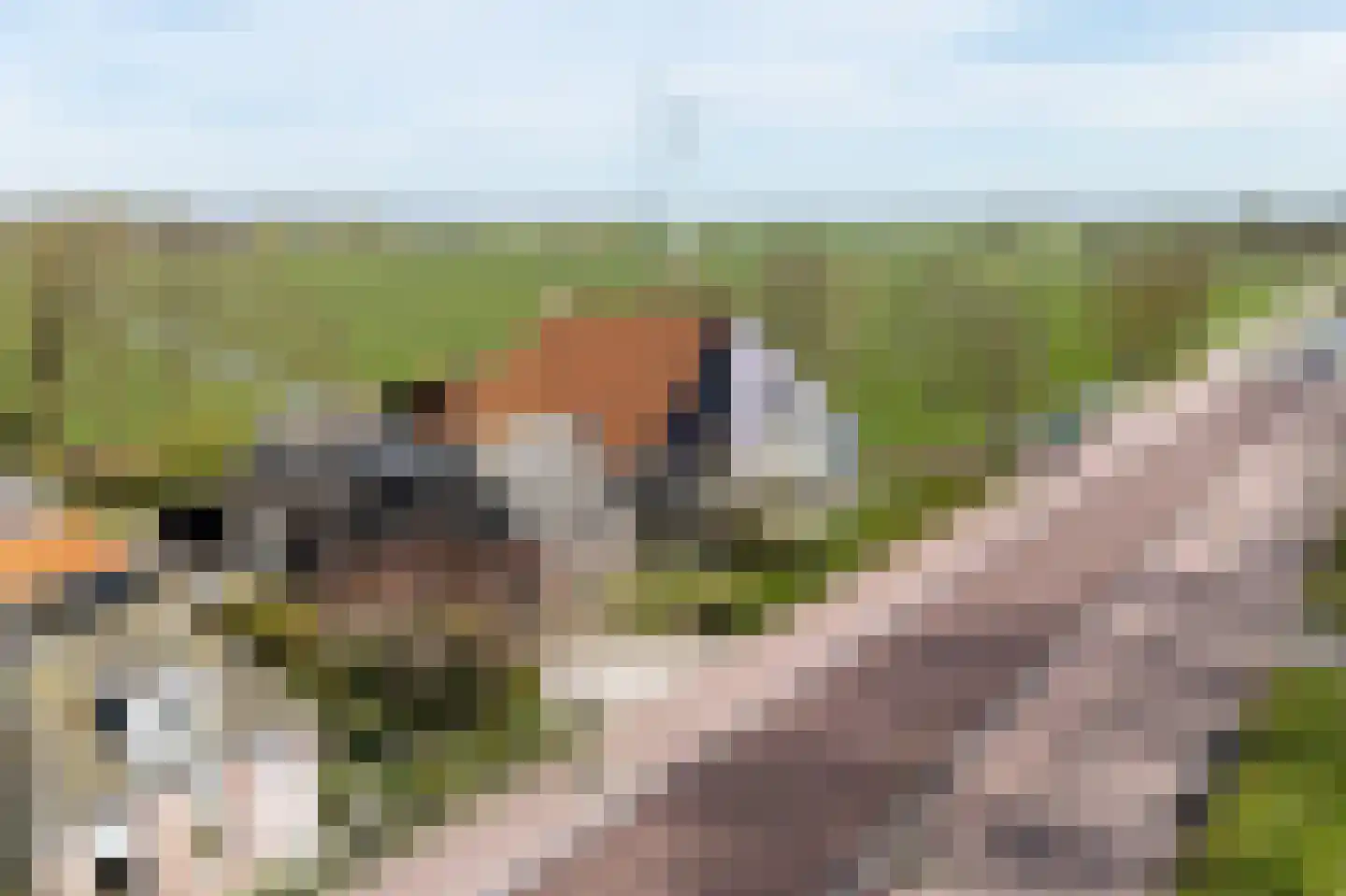 Tsienzerbuorren 4 Reduzum thumbnail 48