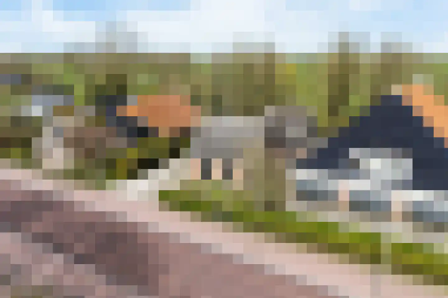 Tsienzerbuorren 4 Reduzum thumbnail 49