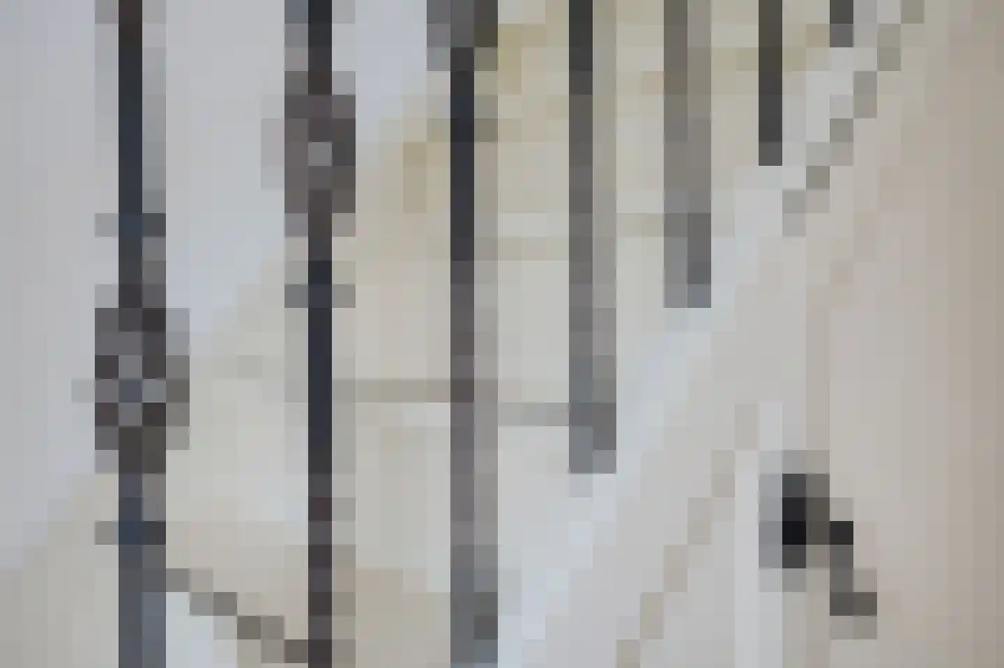 Tsienzerbuorren 4 Reduzum thumbnail 6