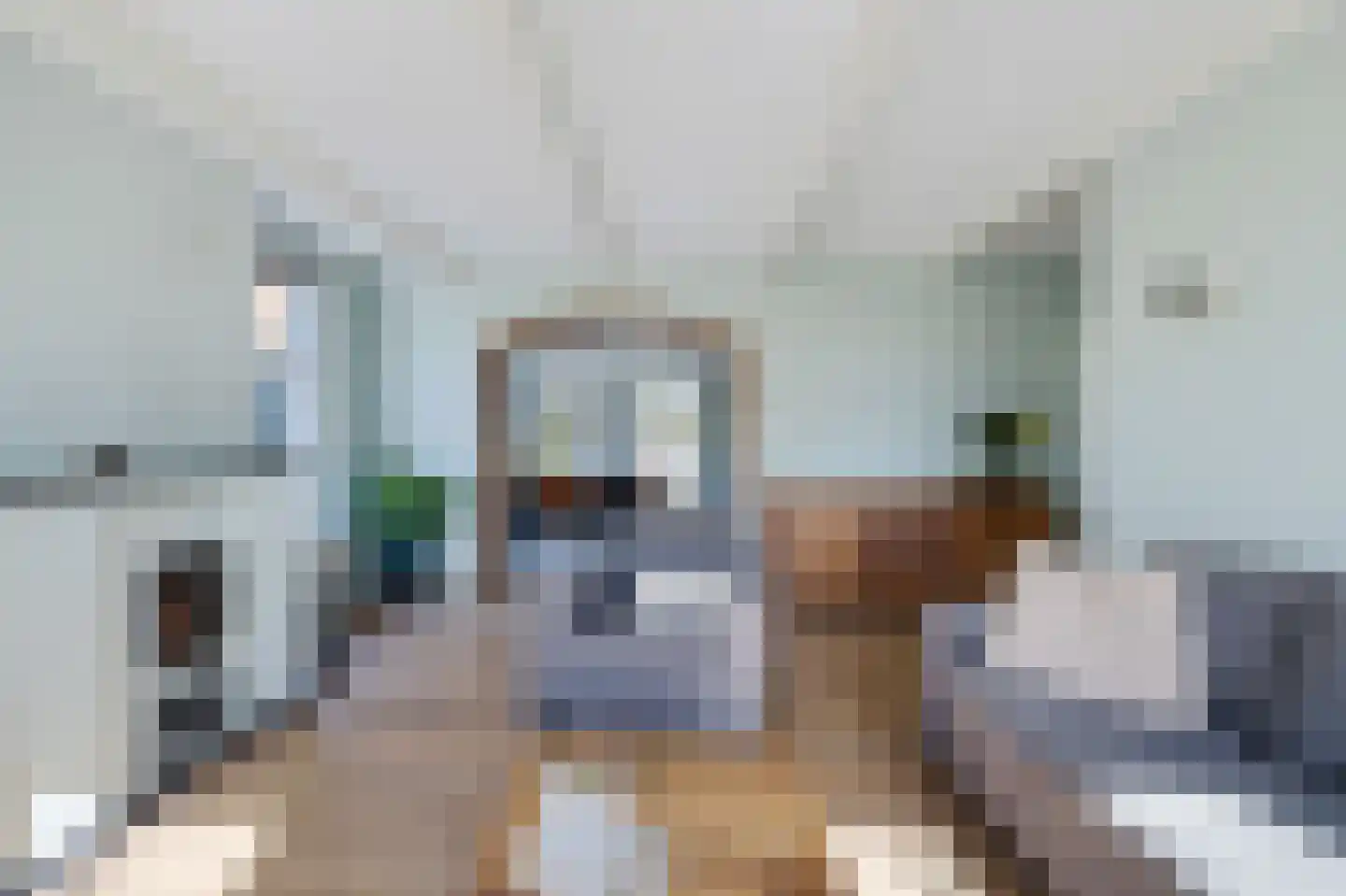 Tsienzerbuorren 4 Reduzum thumbnail 9