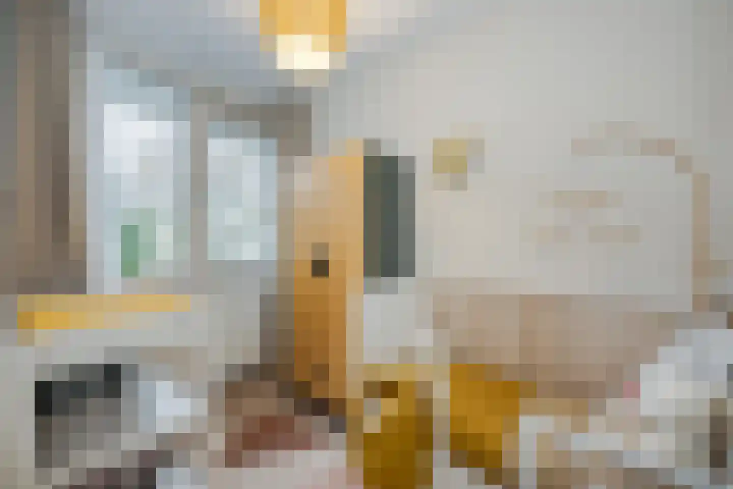 Tsjaikovskilaan 1 Voorschoten thumbnail 14