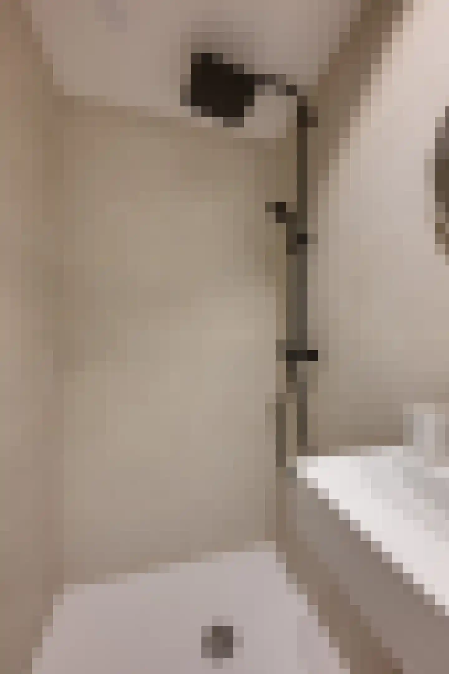 Tsjaikovskilaan 1 Voorschoten thumbnail 17