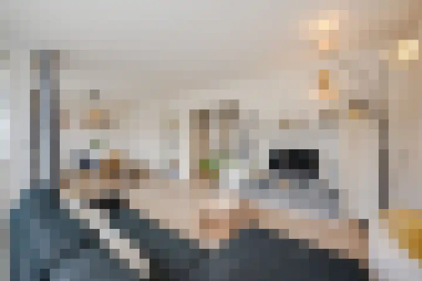 Tsjaikovskilaan 1 Voorschoten thumbnail 25