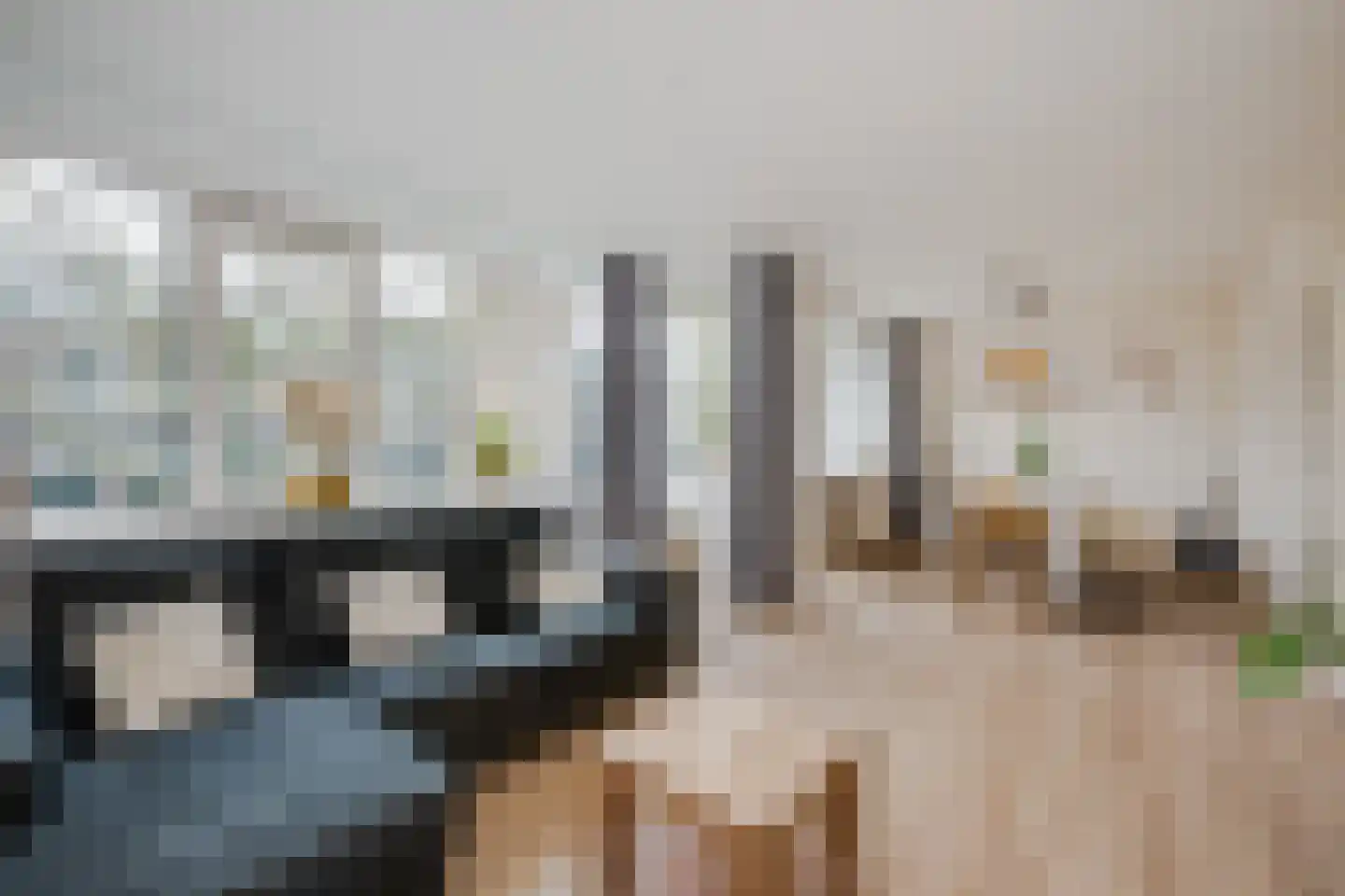 Tsjaikovskilaan 1 Voorschoten thumbnail 26