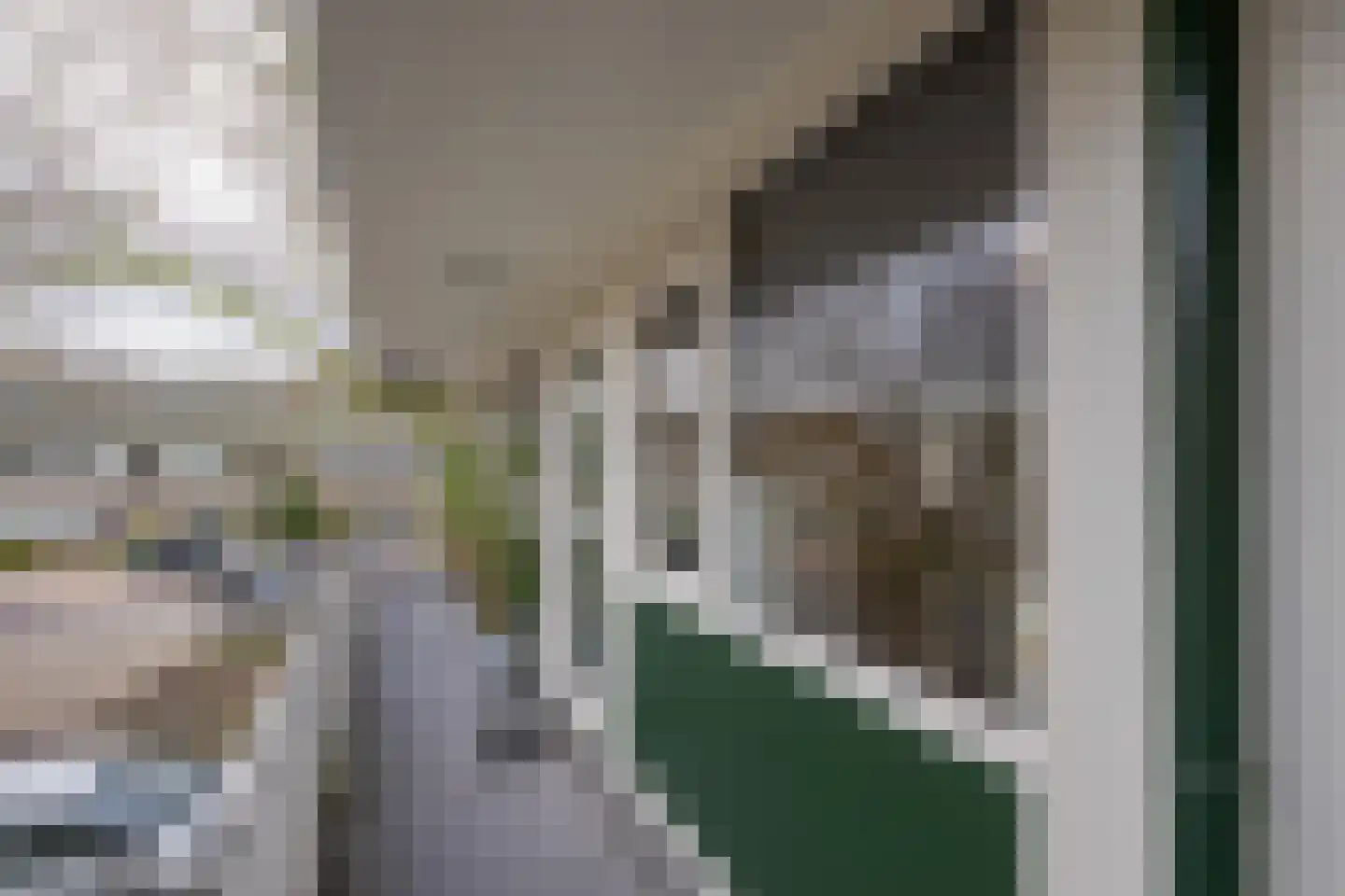 Tsjaikovskilaan 1 Voorschoten thumbnail 8
