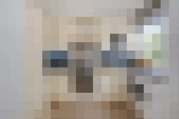 Tsjaikovskilaan 33 Voorschoten thumbnail 10