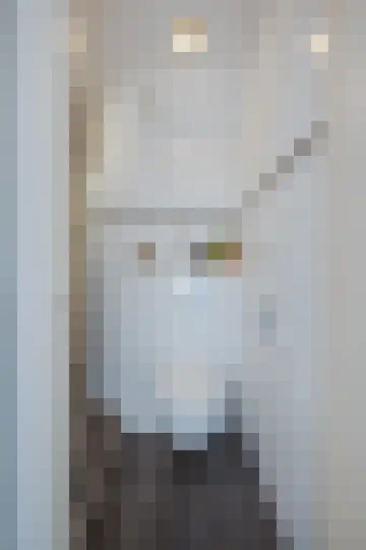 Tsjaikovskilaan 33 Voorschoten thumbnail 13