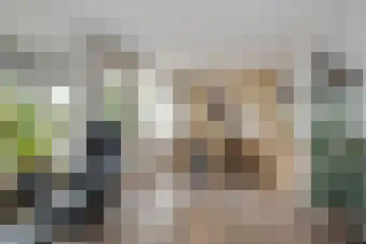 Tsjaikovskilaan 33 Voorschoten thumbnail 21