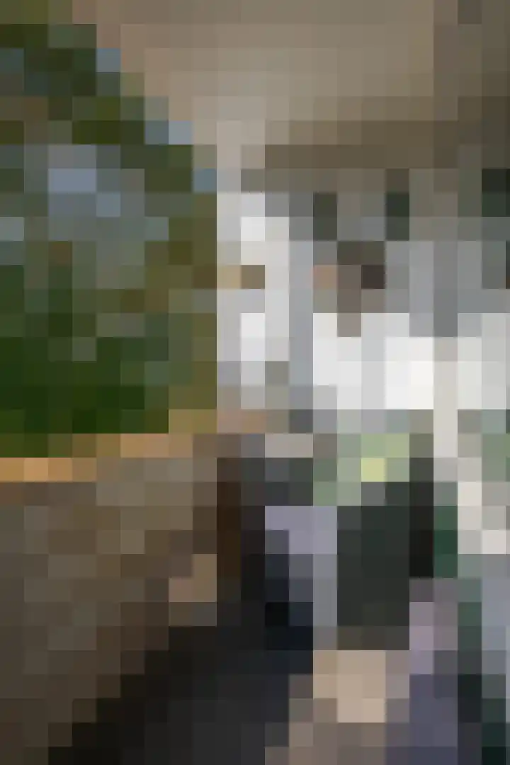 Tsjaikovskilaan 33 Voorschoten thumbnail 22