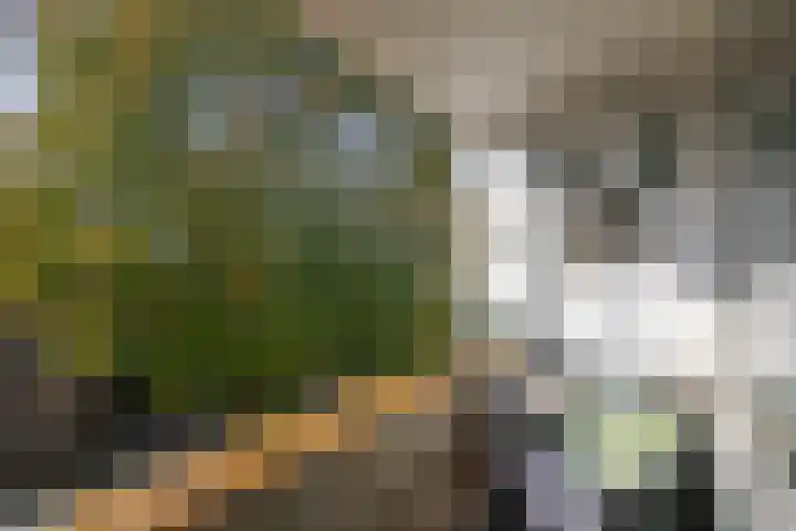 Tsjaikovskilaan 33 Voorschoten thumbnail 23