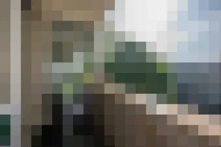 Tsjaikovskilaan 33 Voorschoten thumbnail 24