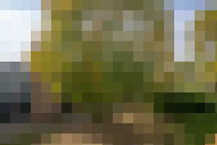 Tsjaikovskilaan 33 Voorschoten thumbnail 26