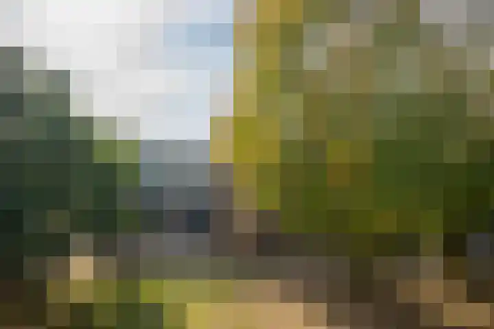 Tsjaikovskilaan 33 Voorschoten thumbnail 27
